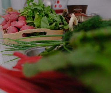 A variety of fresh vegetables including radishes and greens laid out on a kitchen countertop.